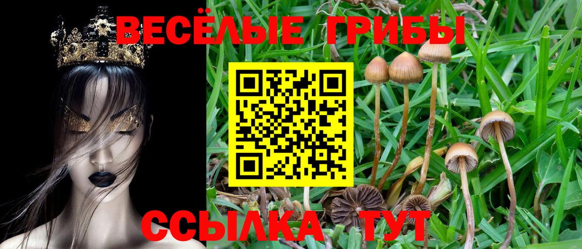 Псилоцибиновые грибы ЛСД  Вход с VPN  Кувандык 